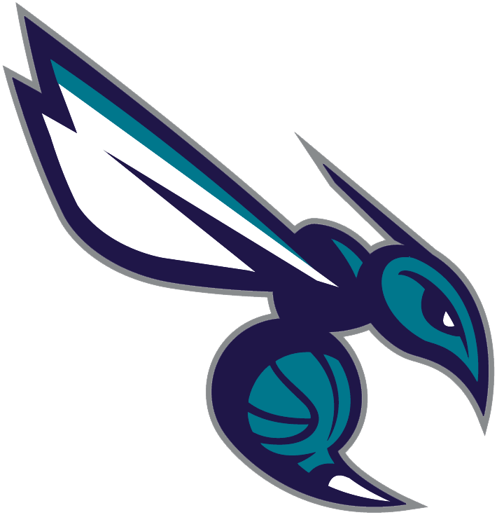Charlotte Hornets 2014-Pres Alternate Logo iron on heat transfer v4